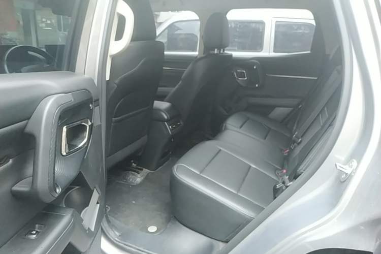 Used Haval H Dog 2023 1.5T Two-Wheel Drive Chao Ye Version Plus Left Rear Seat