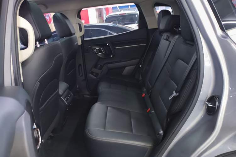 Used Haval H Dog 2023 2.0T All-Wheel-Drive Chaoye Plus Left Rear Seat