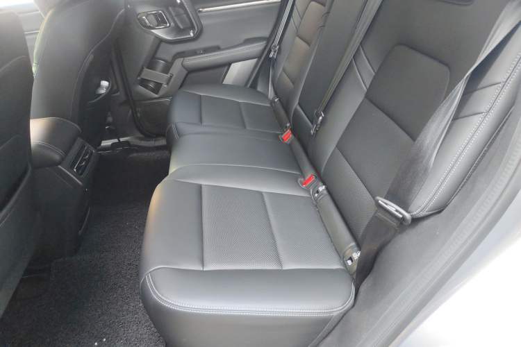 Used Haval H Dog 2023 2.0T Two-Wheel Drive Trendy Outdoor Edition Left Rear Seat