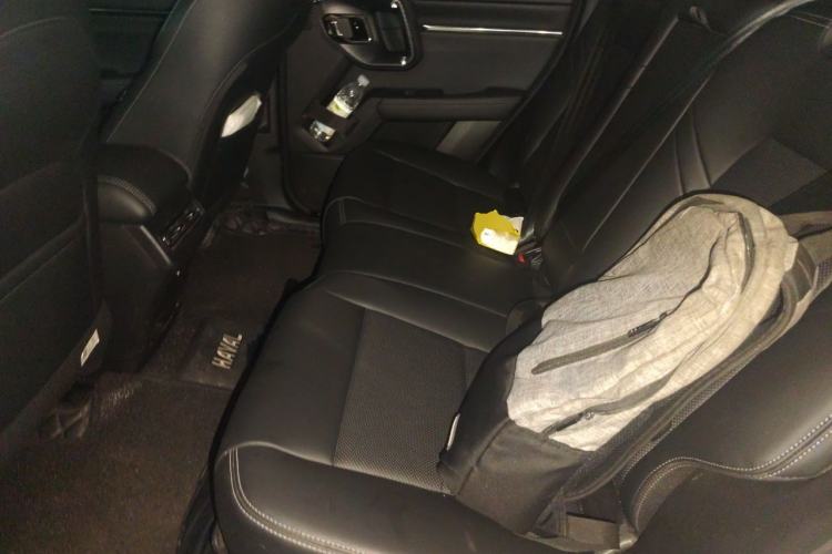 Used Haval H Dog 2023 2.0T Two-Wheel Drive Chaoye Version Plus Left Rear Seat
