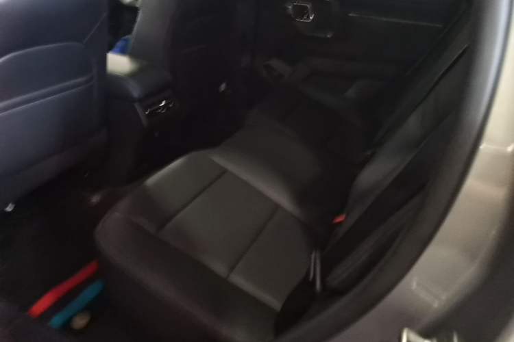 Used Haval H Dog 2023 1.5T Two-Wheel Drive Chao Ye Version Plus Left Rear Seat