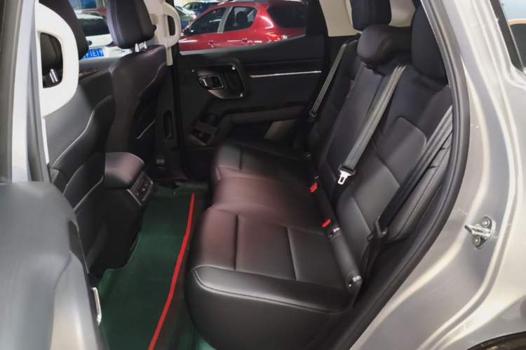 Used Haval H Dog 2023 2.0T Two-Wheel Drive Chaoye Version Plus Left Rear Seat
