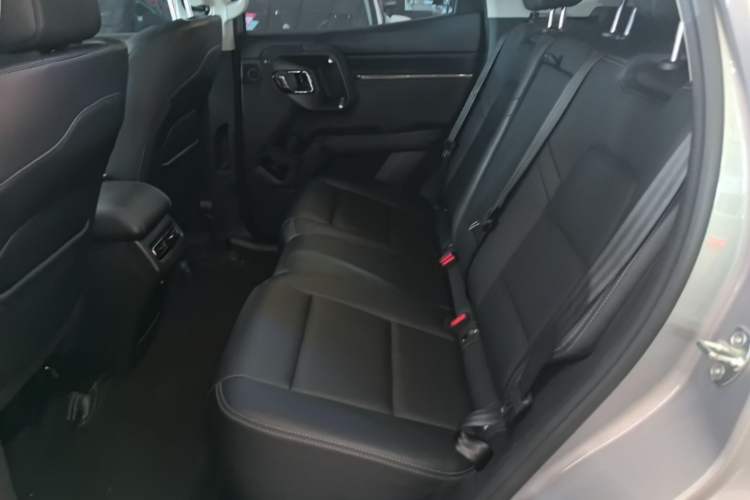 Used Haval H Dog 2023 2.0T All-Wheel-Drive Chaoye Plus Left Rear Seat