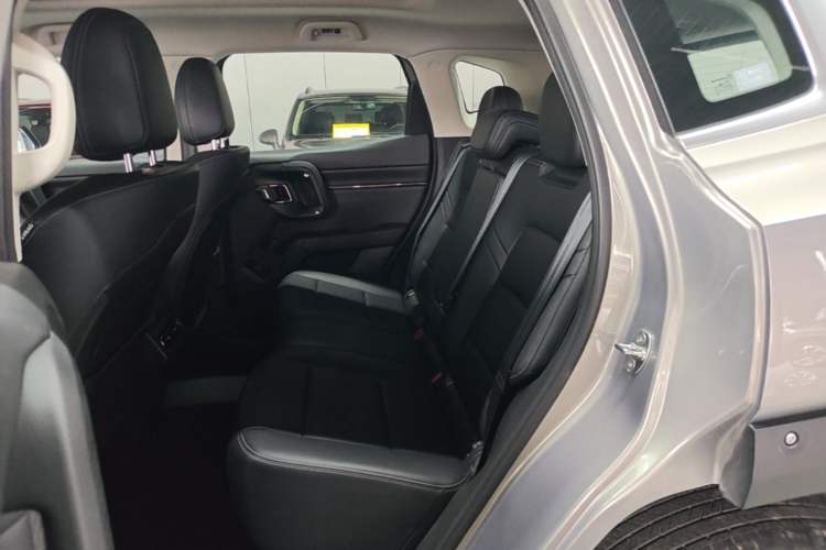Used Haval H Dog 2023 2.0T Two-Wheel Drive Chaoye Version Plus Left Rear Seat