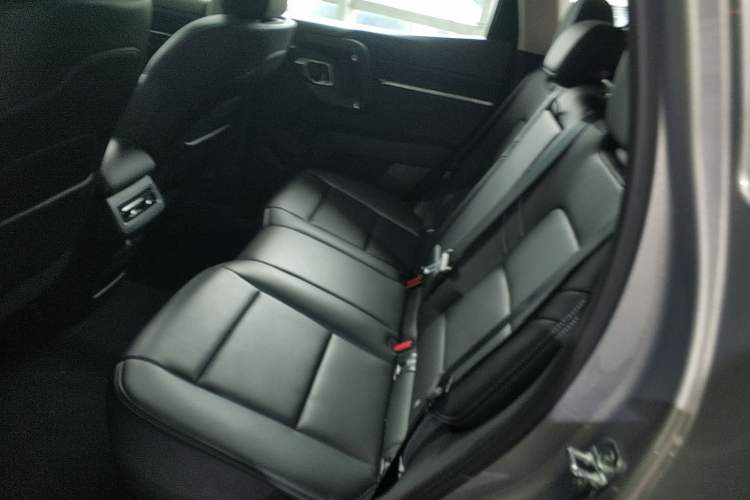 Used Haval H Dog 2023 2.0T Two-Wheel Drive Chaoye Version Plus Left Rear Seat