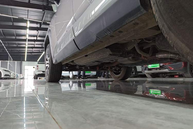 Used Haval H Dog 2023 2.0T Two-Wheel Drive Chaoye Version Plus Left Side Sill