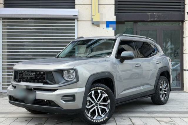 Haval H Dog 2023 2.0T All-Wheel-Drive Chaoye Plus usata