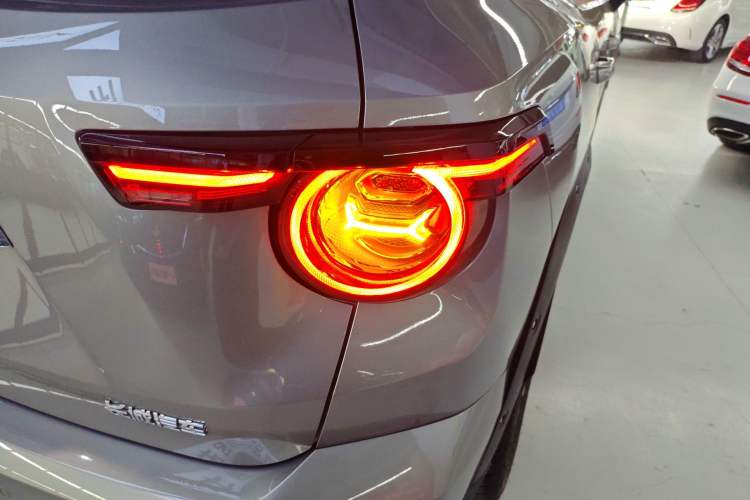 Used Haval H Dog 2023 1.5T Two-Wheel Drive Chao Ye Version Plus Right Rear Taillight