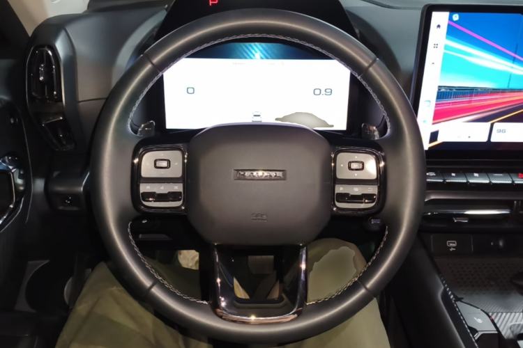 Used Haval H Dog 2023 2.0T Two-Wheel Drive Chaoye Version Plus Steering Wheel