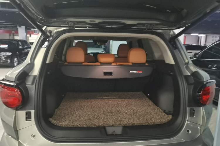 Used Haval H Dog 2023 2.0T All-Wheel-Drive Chaoye Plus Trunk