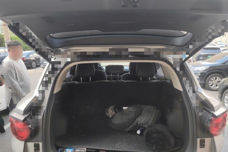 Used Haval H Dog 2023 1.5T Two-Wheel Drive Chao Ye Version Plus Trunk