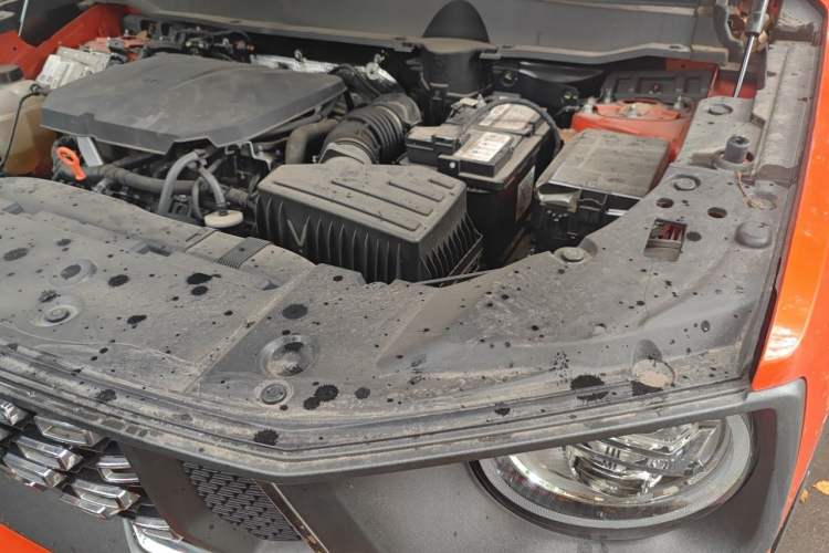 Used Haval H Dog 2023 2.0T All-Wheel-Drive Chaoye Plus Engine Bay Left