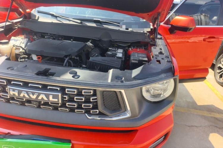 Used Haval H Dog 2023 2.0T Two-Wheel Drive Trendy Outdoor Edition Engine Bay Left