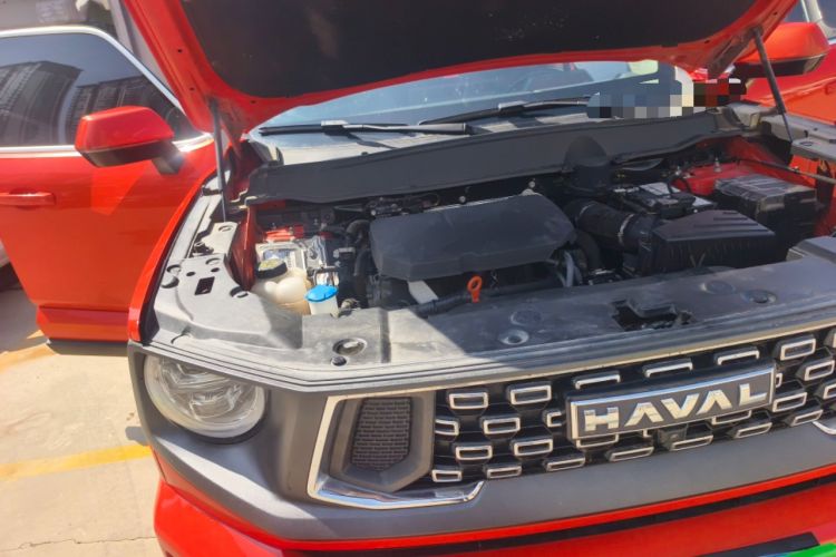 Used Haval H Dog 2023 2.0T Two-Wheel Drive Trendy Outdoor Edition Engine Bay Right