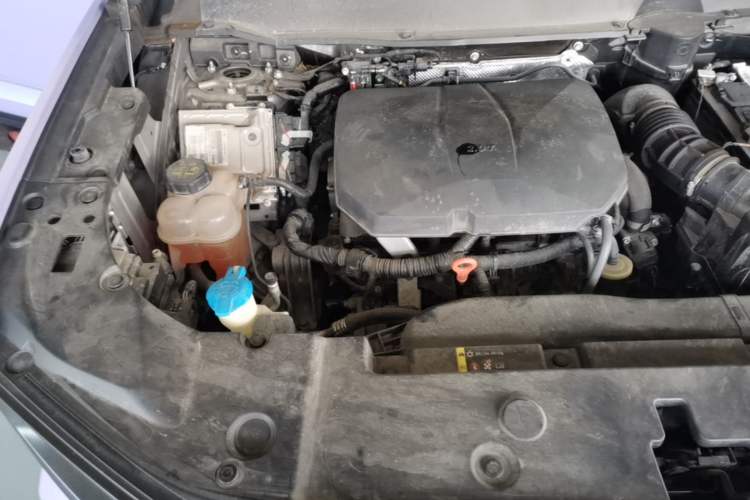 Used Haval H Dog 2023 2.0T Two-Wheel Drive Chaoye Version Plus Engine Bay Right
