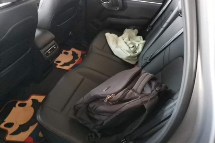 Used Haval H Dog 2023 2.0T Two-Wheel Drive Chaoye Version Plus Left Rear Seat