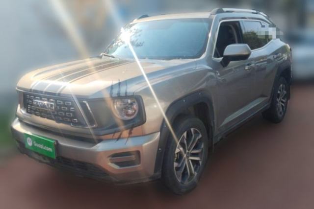 Used Haval H Dog 2023 2.0T Two-Wheel Drive Trendy Outdoor Edition