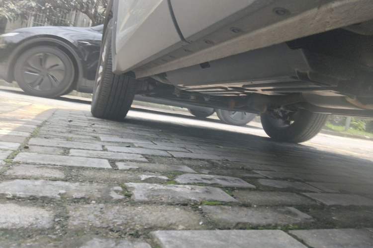 Used Haval H Dog 2023 2.0T Two-Wheel Drive Chaoye Version Plus Chassis Rear Left