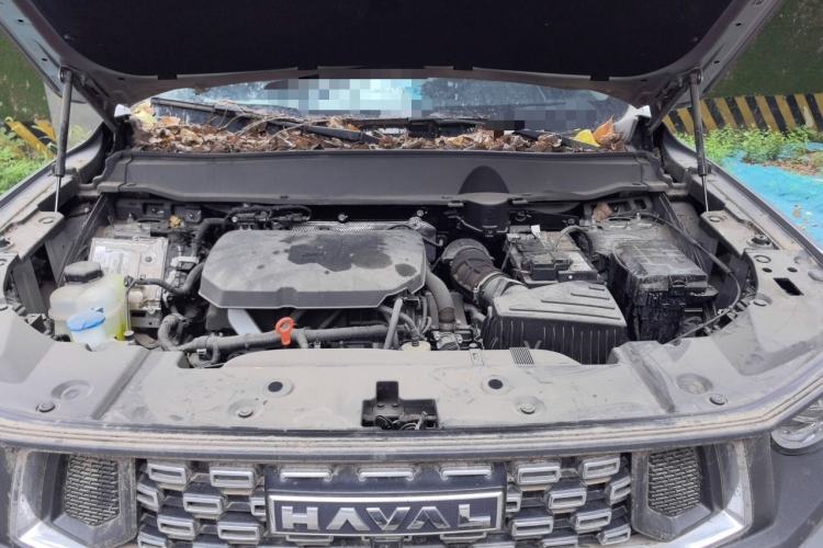 Used Haval H Dog 2023 2.0T Two-Wheel Drive Chaoye Version Plus Engine Bay