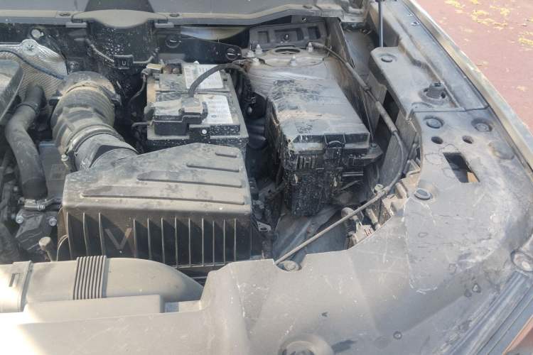 Used Haval H Dog 2023 2.0T Two-Wheel Drive Trendy Outdoor Edition Engine Bay Left