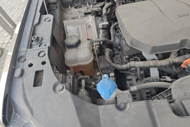 Used Haval H Dog 2023 2.0T Two-Wheel Drive Chaoye Version Plus Engine Bay Right