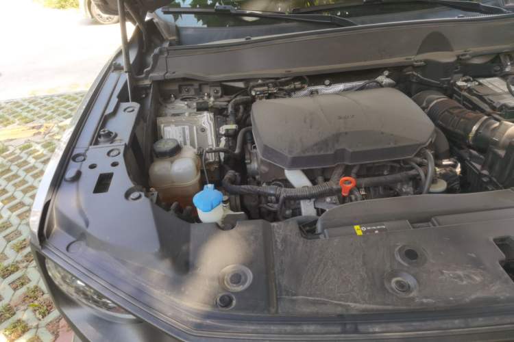 Used Haval H Dog 2023 2.0T All-Wheel-Drive Chaoye Plus Engine Bay Right