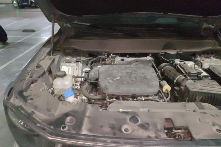 Used Haval H Dog 2023 1.5T Two-Wheel Drive Chao Ye Version Plus Engine Bay Right