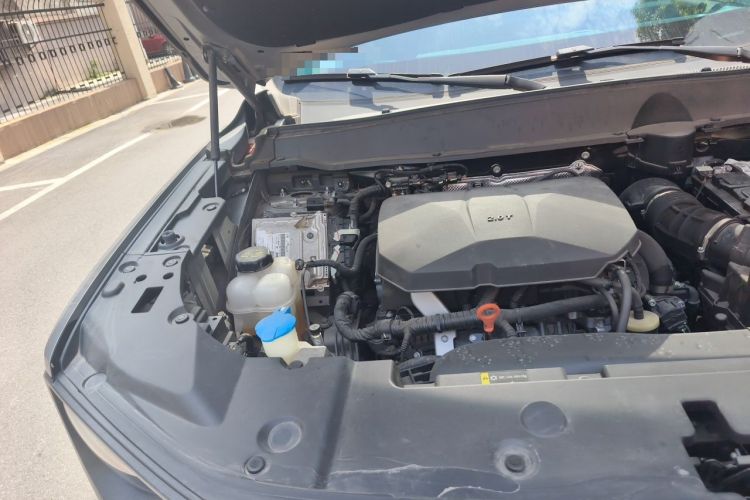 Used Haval H Dog 2023 2.0T Two-Wheel Drive Chaoye Version Plus Engine Bay Right