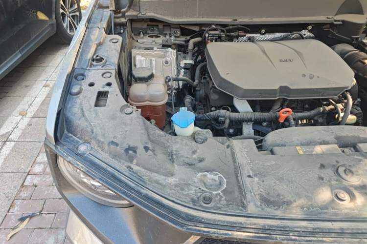 Used Haval H Dog 2023 2.0T Two-Wheel Drive Chaoye Version Plus Engine Bay Right