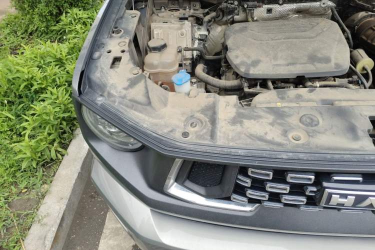 Used Haval H Dog 2023 1.5T Two-Wheel Drive Chao Ye Version Plus Engine Bay Right