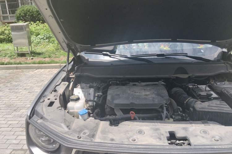 Used Haval H Dog 2023 2.0T Two-Wheel Drive Chaoye Version Plus Engine Bay Right