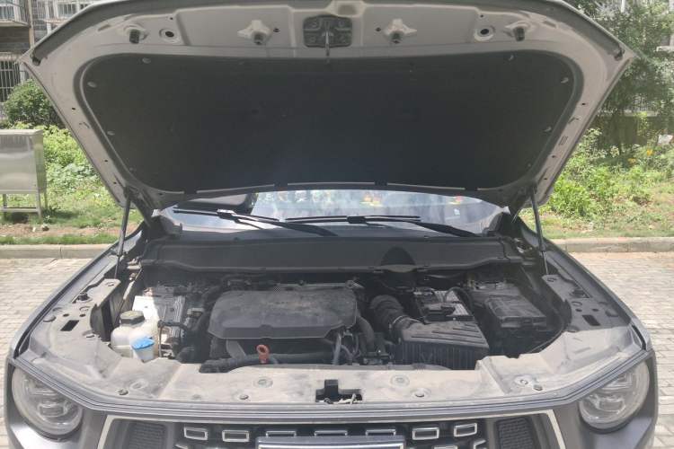 Used Haval H Dog 2023 2.0T Two-Wheel Drive Chaoye Version Plus Engine Bay