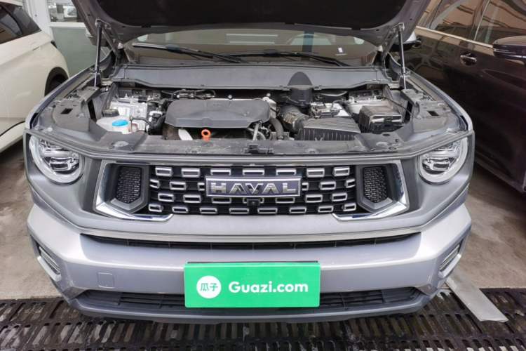 Used Haval H Dog 2023 2.0T Two-Wheel Drive Chaoye Version Plus Engine Bay