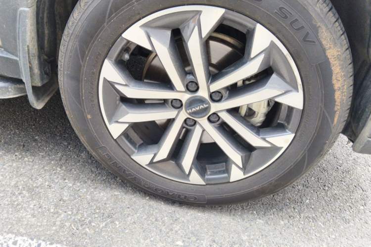Used Haval H Dog 2023 2.0T Two-Wheel Drive Chaoye Version Plus Exterior 1