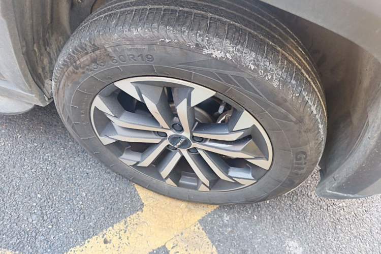 Used Haval H Dog 2023 2.0T All-Wheel-Drive Chaoye Plus Exterior 1