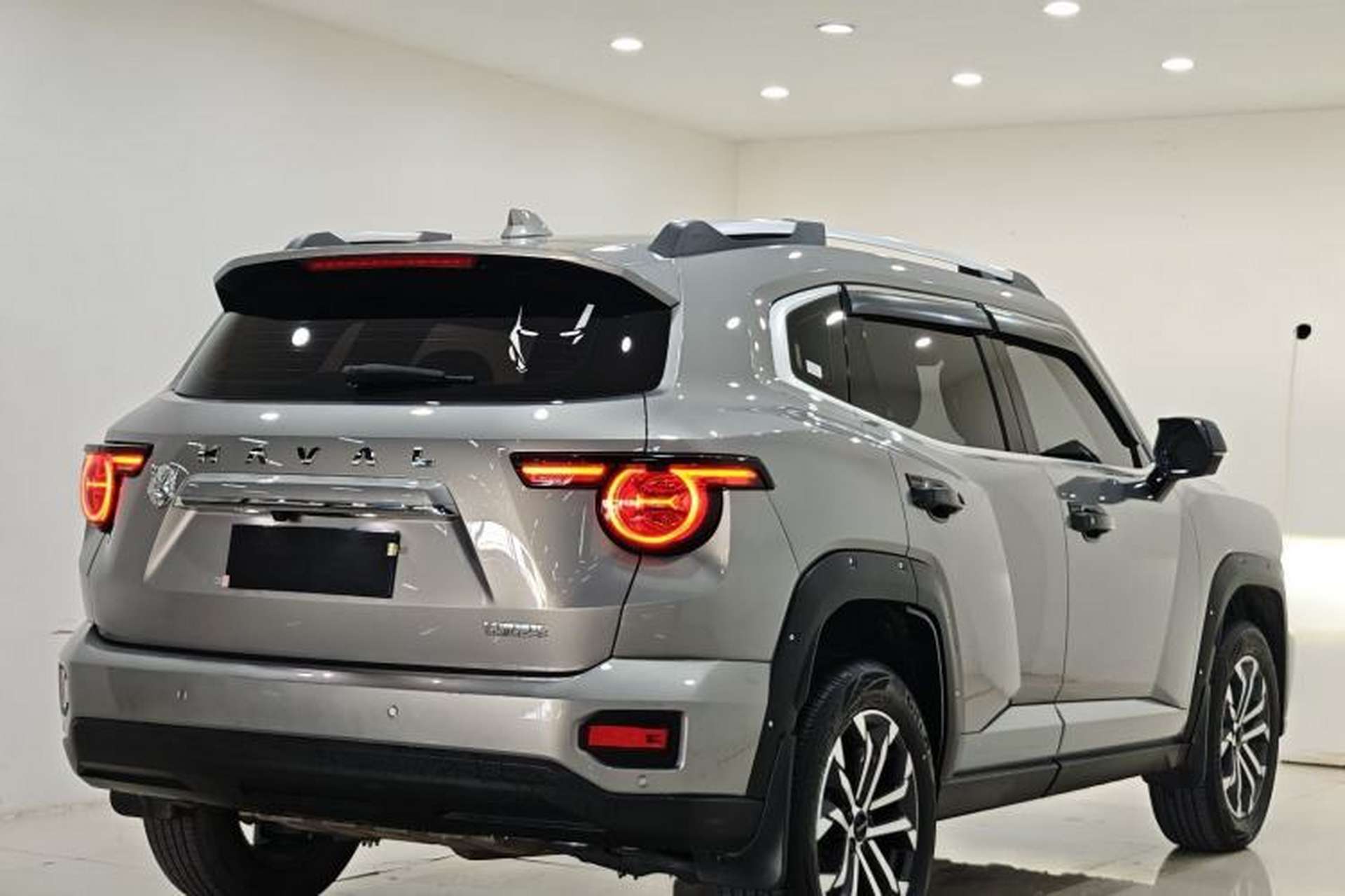 Used Haval H Dog 2023 2.0T Two-Wheel Drive Chaoye Version Plus Exterior 8