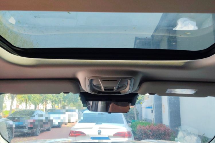Used Haval H Dog 2023 2.0T Two-Wheel Drive Trendy Outdoor Edition Headliner