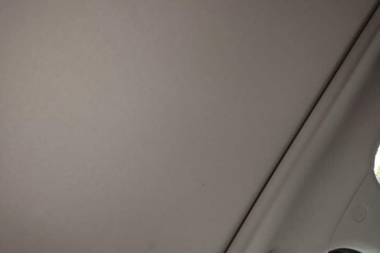 Used Haval H Dog 2023 2.0T All-Wheel-Drive Chaoye Plus Headliner