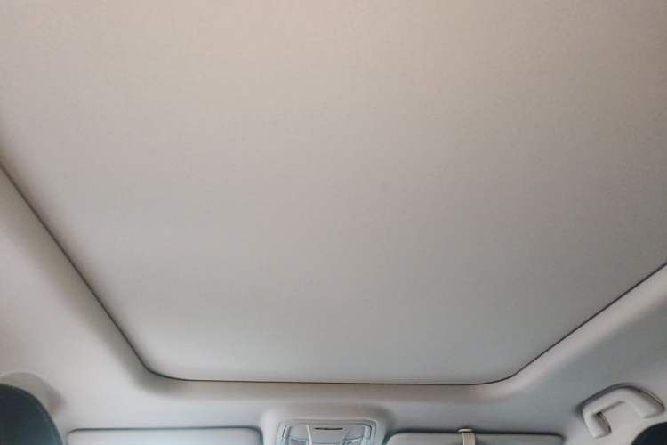 Used Haval H Dog 2023 2.0T All-Wheel-Drive Chaoye Plus Headliner