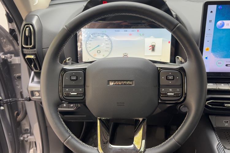 Used Haval H Dog 2023 2.0T All-Wheel-Drive Chaoye Plus Interior 4