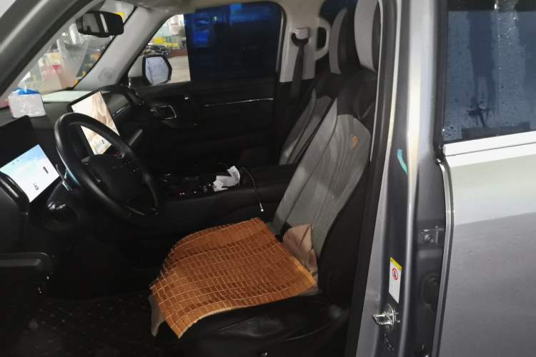 Used Haval H Dog 2023 2.0T Two-Wheel Drive Chaoye Version Plus Left Front Seat