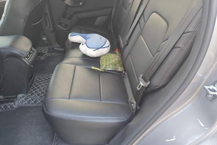 Used Haval H Dog 2023 2.0T Two-Wheel Drive Chaoye Version Plus Left Rear Seat