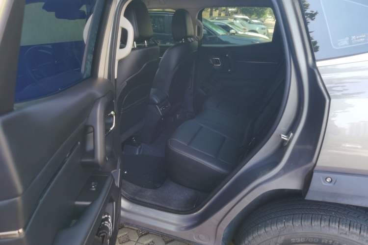 Used Haval H Dog 2023 2.0T All-Wheel-Drive Chaoye Plus Left Rear Seat
