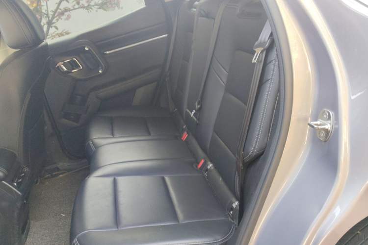 Used Haval H Dog 2023 2.0T Two-Wheel Drive Trendy Outdoor Edition Left Rear Seat