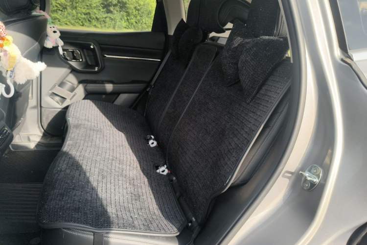 Used Haval H Dog 2023 2.0T Two-Wheel Drive Chaoye Version Plus Left Rear Seat