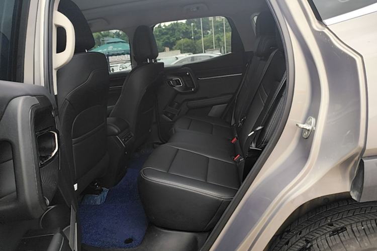 Used Haval H Dog 2023 2.0T Two-Wheel Drive Chaoye Version Plus Left Rear Seat