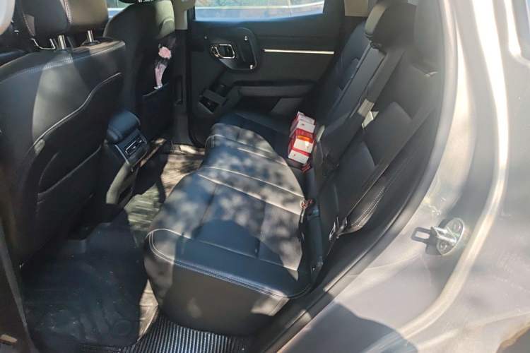 Used Haval H Dog 2023 2.0T Two-Wheel Drive Chaoye Version Plus Left Rear Seat