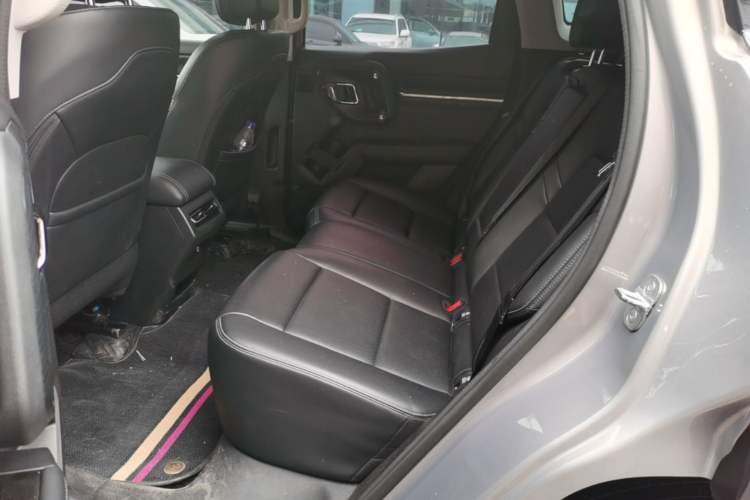 Used Haval H Dog 2023 2.0T Two-Wheel Drive Chaoye Version Plus Left Rear Seat