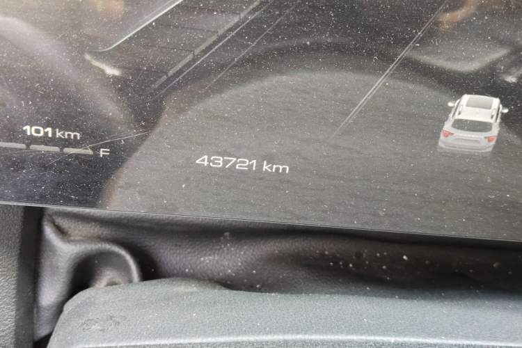 Used Haval H Dog 2023 2.0T Two-Wheel Drive Trendy Outdoor Edition Odometer Close Up