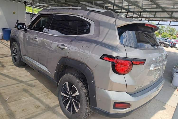 Used Haval H Dog 2023 2.0T All-Wheel-Drive Chaoye Plus Rear Left 45 Deg